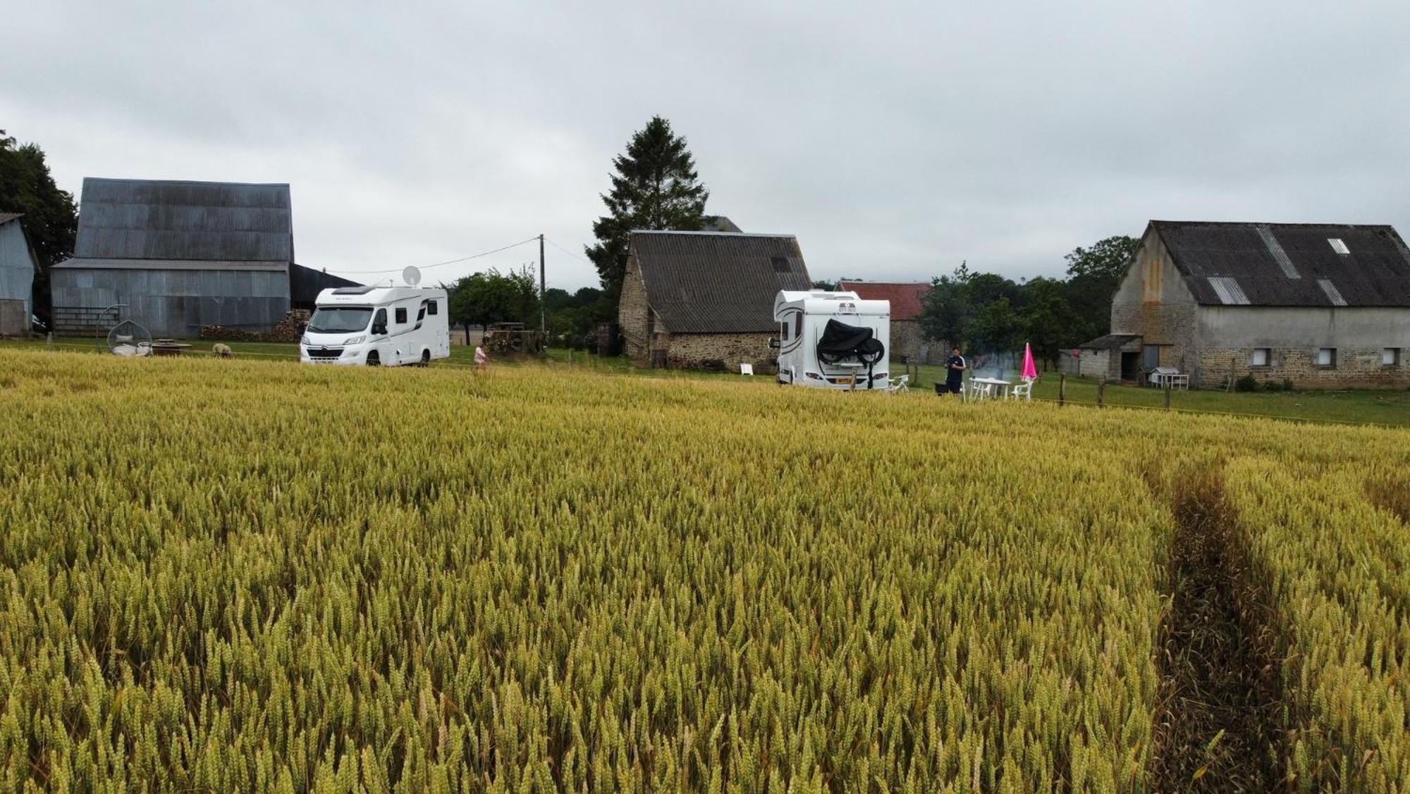 La Billardiere Camping A La Ferme Le Menil-Ciboult Dış mekan fotoğraf