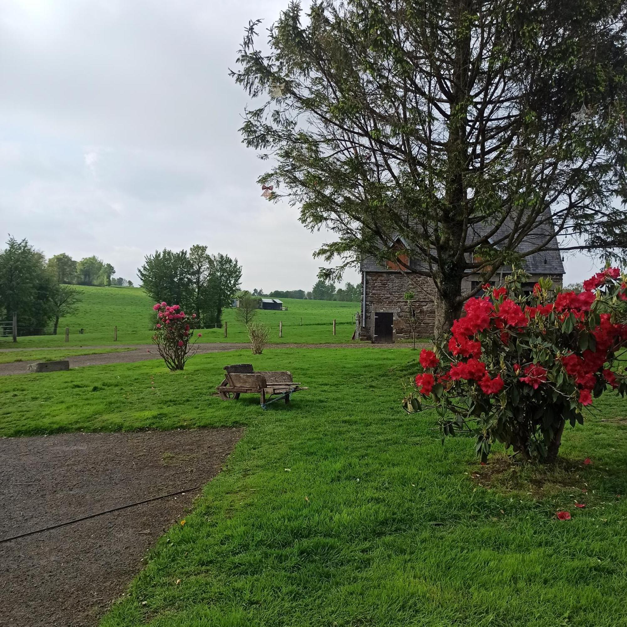 La Billardiere Camping A La Ferme Le Menil-Ciboult Dış mekan fotoğraf